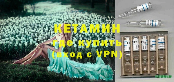 стаф Вязьма