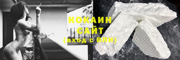 стаф Вязьма