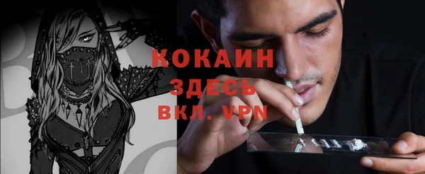 дурь Тутаев