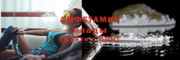 стаф Вязьма