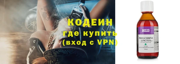 стаф Вязьма