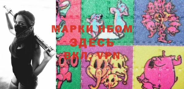стаф Вязьма