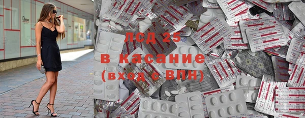 стаф Вязьма