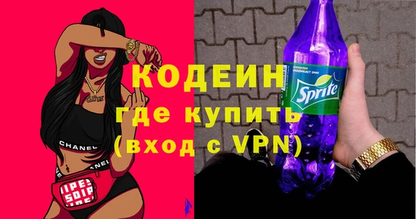 стаф Вязьма
