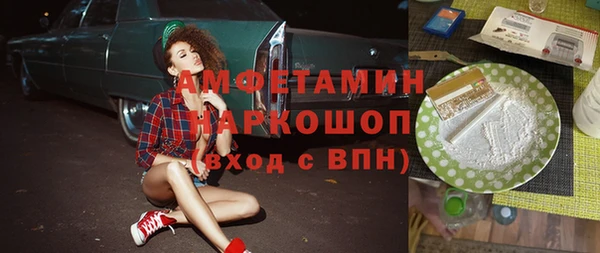 стаф Вязьма